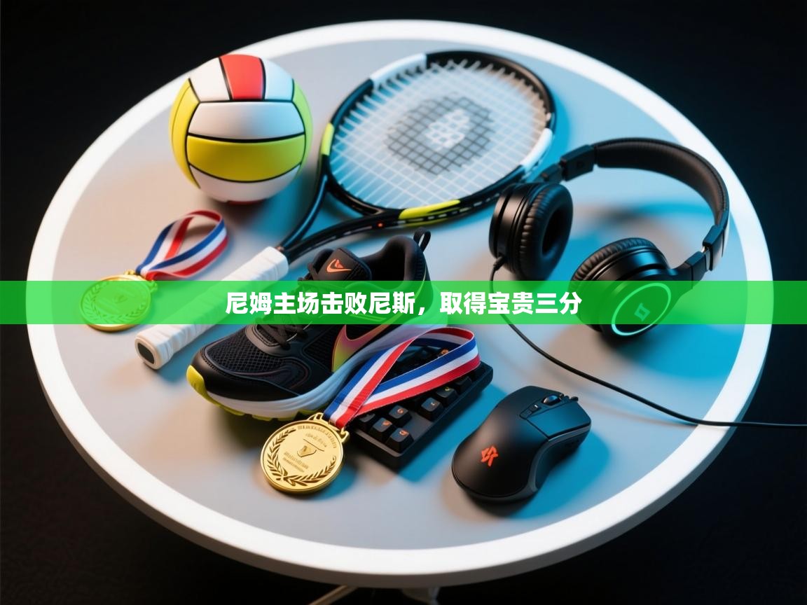 尼姆主场击败尼斯,取得宝贵三分 第1张