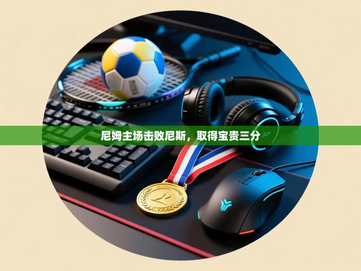 尼姆主场击败尼斯,取得宝贵三分 第2张