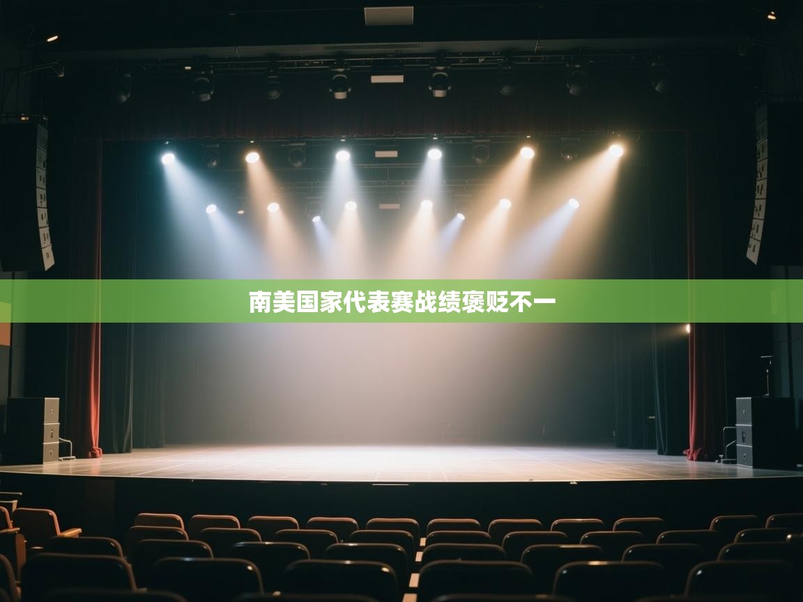 南美国家代表赛战绩褒贬不一  第2张