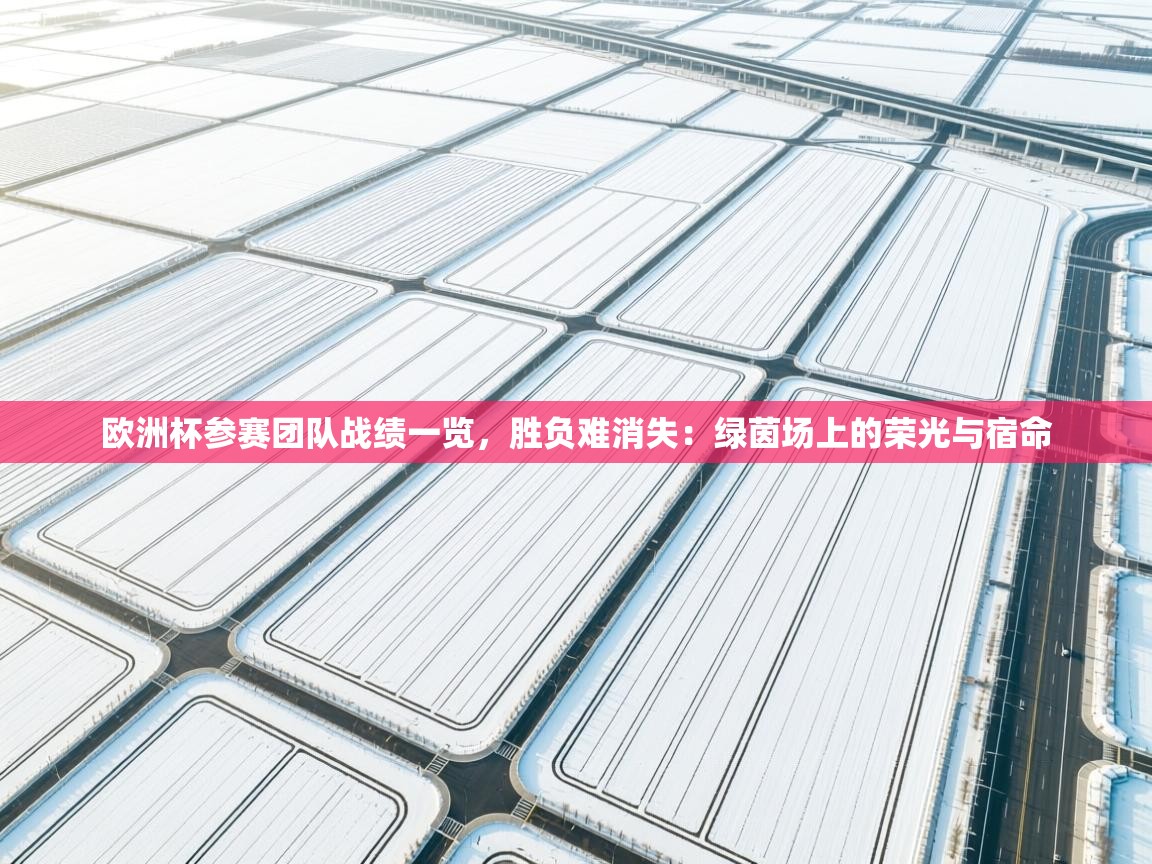 欧洲杯参赛团队战绩一览，胜负难消失：绿茵场上的荣光与宿命  第2张