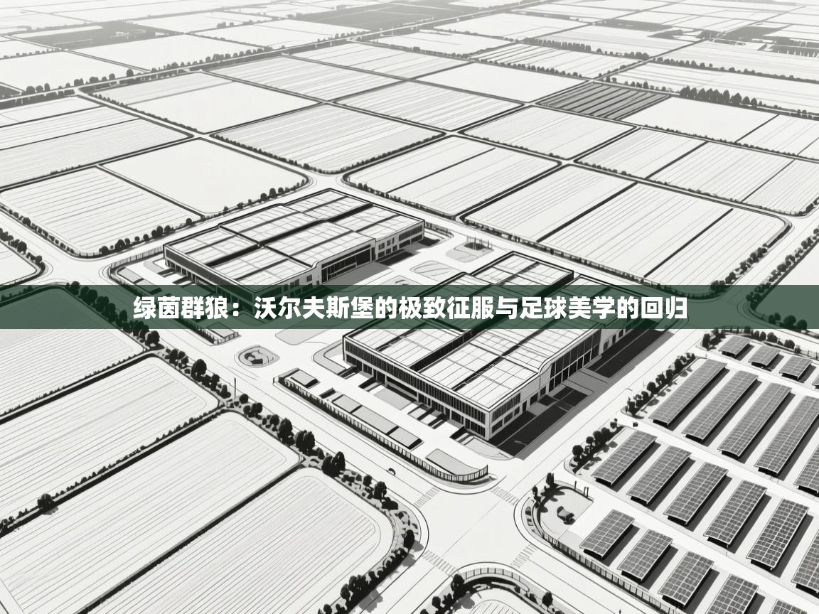 绿茵群狼：沃尔夫斯堡的极致征服与足球美学的回归  第2张