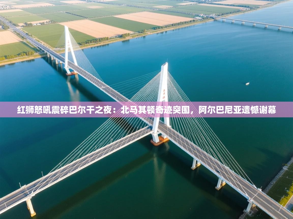 红狮怒吼震碎巴尔干之夜:北马其顿奇迹突围,阿尔巴尼亚遗憾谢幕 第2张